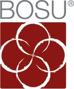 BOSU Balance Trainer Home - Buikspiertrainer - Houdingstrainer - Balanstrainer - Balans - 14 BOSU Balance Trainer Home - Buikspiertrainer - Houdingstrainer - Balanstrainer - Balans - -Fit Gear Verkoop 1005x1200 2