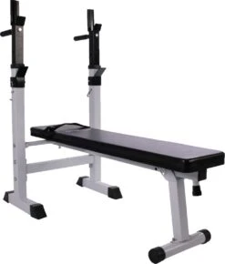 Physionics - Halterbank - Dips Bank - Bankdruk - Buiktrainer - Rugtrainer - Gewicht Heffen - Antislip - Verstelbaar -Fit Gear Verkoop 1023x1200 1