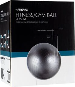 Avento Fitness/Gymbal - Ø 75 Cm - Zilver 16 Avento Fitness/Gymbal - Ø 75 Cm - Zilver -Fit Gear Verkoop 1030x1200 1