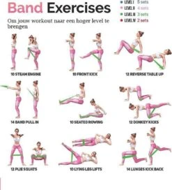 Merkloos Weerstandsbanden - Set Van 5 Fitness Elastieken - Fitnessbanden Voor Training Thuis Sportschool Gym - Perfect Voor Yoga Pilates Rekken Fietsers Renners Crossfit- Fitness Elastiek- Met Gratis Trainingsschema -Fit Gear Verkoop 1091x1200 3