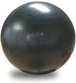 Gymnic Plus 65 BRQ - Zitbal En Fitnessbal - Zwart - Ø 65 Cm -Fit Gear Verkoop 1103x1200 4