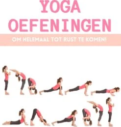 Focus Fitness – Yoga Mat Roze Met Print – Sport Mat 173 X 61 X 0.5 Cm – Fitness Mat 17 Focus Fitness – Yoga Mat Roze Met Print – Sport Mat 173 X 61 X 0.5 Cm – Fitness Mat -Fit Gear Verkoop 1144x1200 2