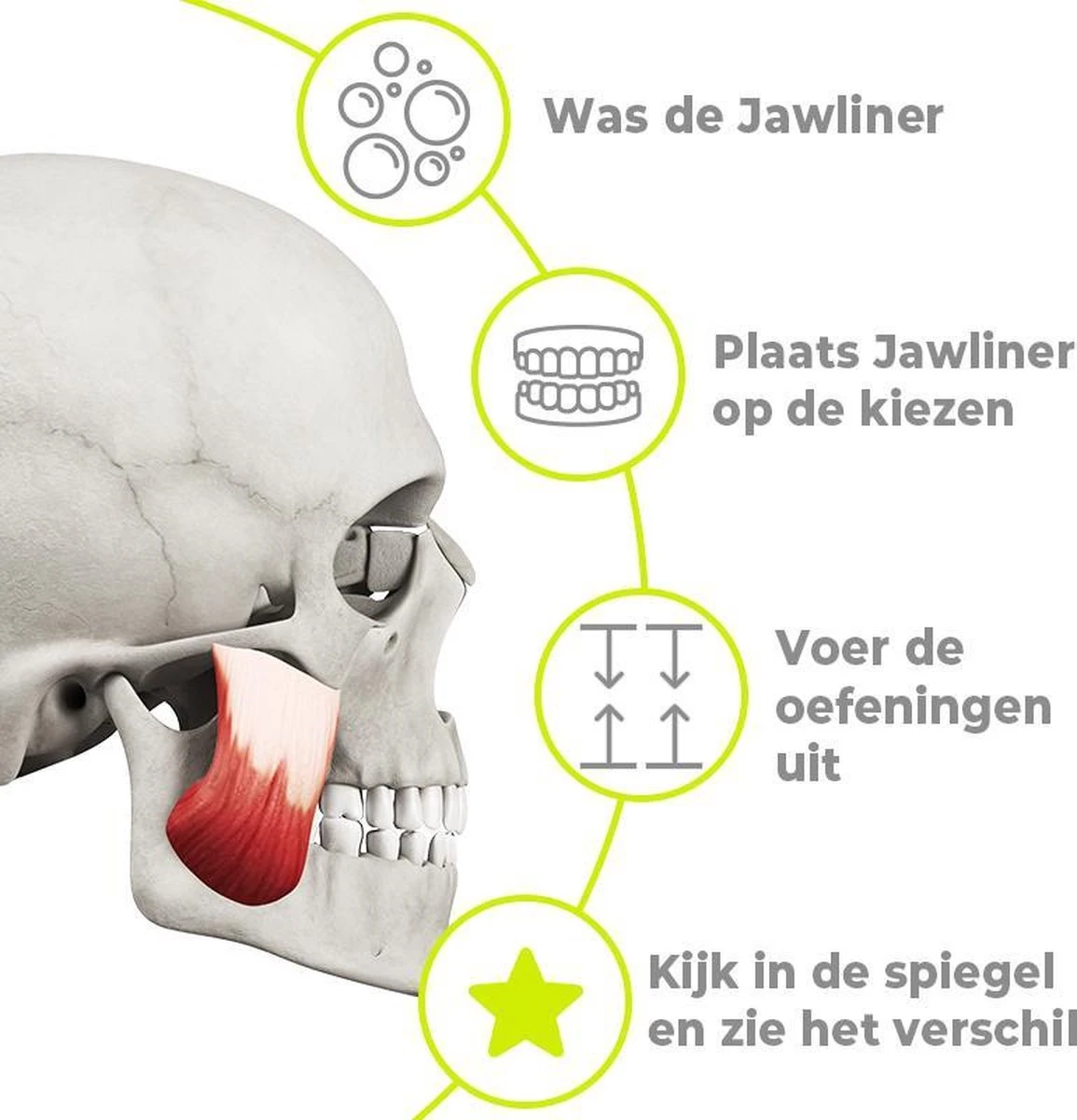 Kaaklijn Jawline Trainer Sport Fitness Kaak Trainer Gym Jawliner - Variant Advanced - Kaaklijn Onderkin Gezichtstrainer - Jawliner® 4 Kaaklijn Jawline Trainer Sport Fitness Kaak Trainer Gym Jawliner - Variant Advanced - Kaaklijn Onderkin Gezichtstrainer - Jawliner® - Afbeelding 2