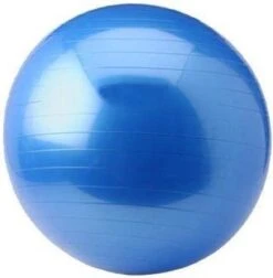 Focus Fitness - Yoga Bal - Fitness Bal - 75 Cm