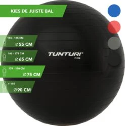 Tunturi Fitness Bal - Yoga Bal Inclusief Pomp - Pilates Bal - Zwangerschaps Bal - 75 Cm - Kleur: Zwart - Incl. Gratis Fitness App -Fit Gear Verkoop 1193x1200 12