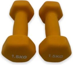 Dumbell Set 1.5 Kg - Fitness - Gewicht - Set - 1.5 Kg - 2 X 1.5kg - Oranje - Gewichtjes 1,5 Kg