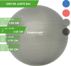 Tunturi Fitness Bal - Yoga Bal Inclusief Pomp - Pilates Bal - Zwangerschaps Bal - 65 Cm - Kleur: Zilver - Incl. Gratis Fitness App 9 Tunturi Fitness Bal - Yoga Bal Inclusief Pomp - Pilates Bal - Zwangerschaps Bal - 65 Cm - Kleur: Zilver - Incl. Gratis Fitness App -Fit Gear Verkoop 1200x1114 4