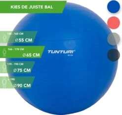 Tunturi Fitness Bal - Yoga Bal Inclusief Pomp - Pilates Bal - Zwangerschaps Bal - 65 Cm - Kleur: Blauw - Incl. Gratis Fitness App -Fit Gear Verkoop 1200x1127 3