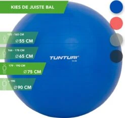 Tunturi Fitness Bal - Yoga Bal Inclusief Pomp - Pilates Bal - Zwangerschaps Bal - 75 Cm - Kleur: Blauw - Incl. Gratis Fitness App -Fit Gear Verkoop 1200x1132