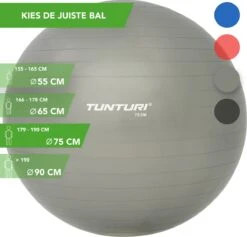 Tunturi Fitness Bal - Yoga Bal Inclusief Pomp - Pilates Bal - Zwangerschaps Bal - 75 Cm - Kleur: Zilver - Incl. Gratis Fitness App -Fit Gear Verkoop 1200x1149 3