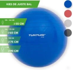Tunturi Fitness Bal - Yoga Bal Inclusief Pomp - Pilates Bal - Zwangerschaps Bal - 55 Cm - Kleur: Blauw - Incl. Gratis Fitness App -Fit Gear Verkoop 1200x1154 2