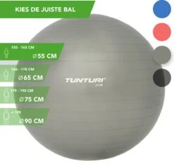 Tunturi Fitness Bal - Yoga Bal Inclusief Pomp - Pilates Bal - Zwangerschaps Bal - 55 Cm - Kleur: Zilver - Incl. Gratis Fitness App -Fit Gear Verkoop 1200x1159 8