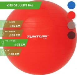 Tunturi Fitness Bal - Yoga Bal Inclusief Pomp - Pilates Bal - Zwangerschaps Bal - 75 Cm - Kleur: Rood - Incl. Gratis Fitness App -Fit Gear Verkoop 1200x1180 7