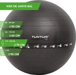 Tunturi Fitnessbal - Gymball - Swiss Ball - 75 Cm - Anti Burst - Inclusief Pomp - Zwart - Incl. Gratis Fitness App -Fit Gear Verkoop 1200x1184 9