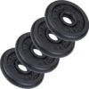 ScSPORTS® Halterschijven Set 5 Kg - Gietijzer - 30 Mm - 4x1,25 Kg - Gewichten -Fit Gear Verkoop 1200x1192 7