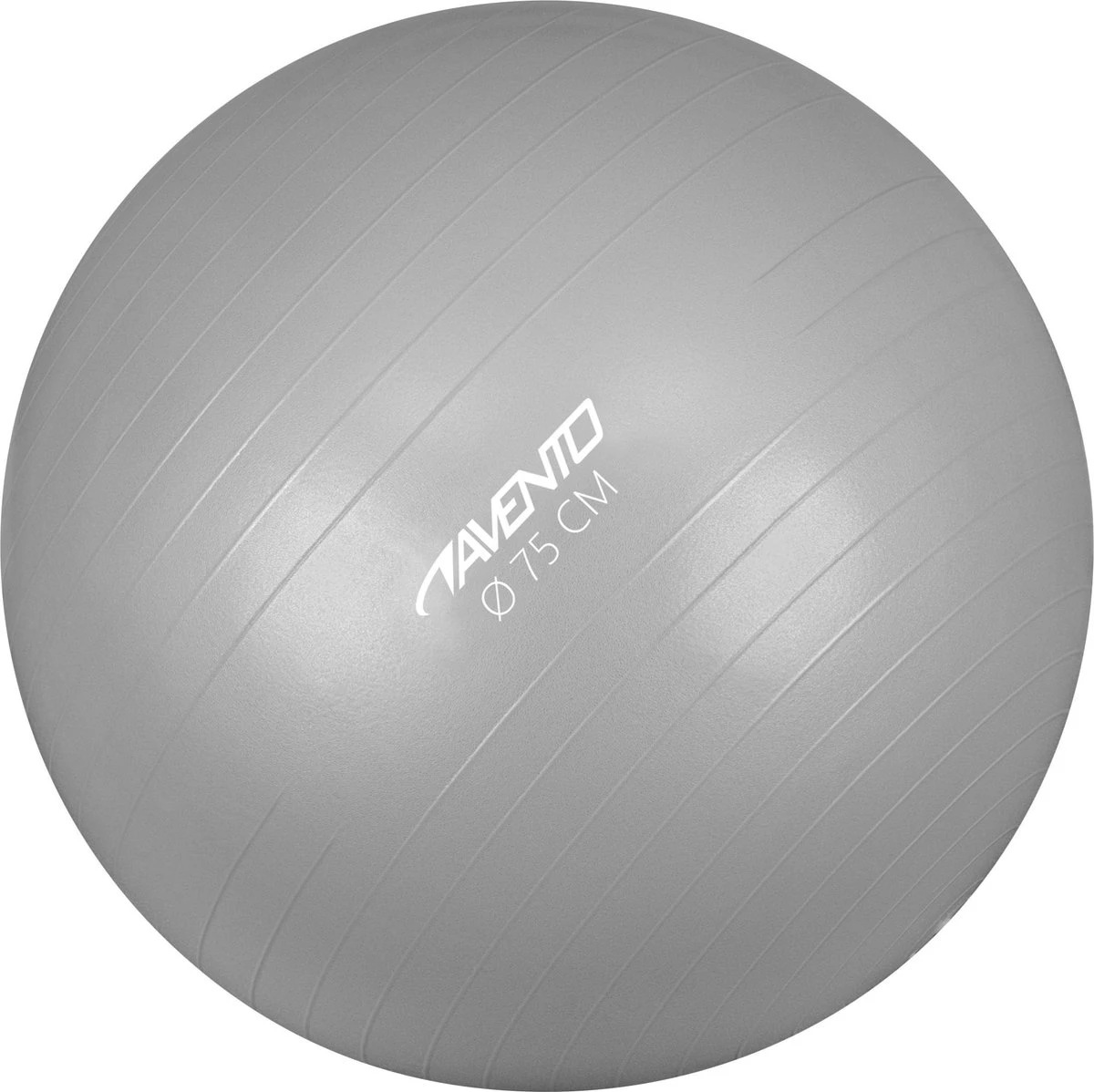 Avento Fitness/Gymbal - Ø 75 Cm - Zilver 3 Avento Fitness/Gymbal - Ø 75 Cm - Zilver
