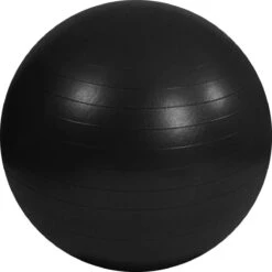 Gym Bal Inclusief Pomp - Yoga - Pilates Bal - Fitness Bal - Zwangerschapsbal - Goede Houding Bij Het Thuiswerken - 65 Cm - Kleur: Zwart -Fit Gear Verkoop 1200x1200 1411