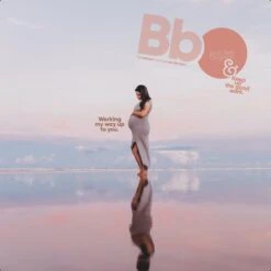 Birth Ball Originals – Zwangerschapsbal – Ergonomische Yoga Bal – Incl. Roze Wasbare Hoes – Incl. Pomp – 65 CM Hoog -Fit Gear Verkoop 1200x1200 1438