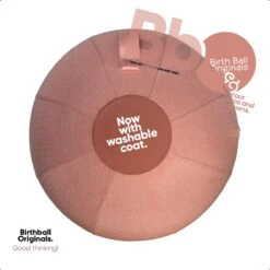 Birth Ball Originals – Zwangerschapsbal – Ergonomische Yoga Bal – Incl. Roze Wasbare Hoes – Incl. Pomp – 65 CM Hoog -Fit Gear Verkoop 1200x1200 1440