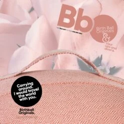 Birth Ball Originals – Zwangerschapsbal – Ergonomische Yoga Bal – Incl. Roze Wasbare Hoes – Incl. Pomp – 65 CM Hoog -Fit Gear Verkoop 1200x1200 1441