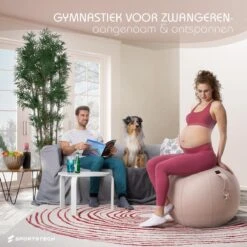 Sportstech Fitnessbal - Zitbal - Ergnomisch Voor Yoga, Pilates, Zwangerschap & Homegym - YOBA100 -Fit Gear Verkoop 1200x1200 1477