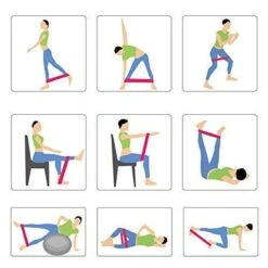 Gymston - 5 Sport Elastiek Banden Set/ Fitness Elastiek - Inclusief Draagtas En E-Book(pdf) + Handleiding Met Weerstandsbanden Oefeningen! -Fit Gear Verkoop 1200x1200 1867