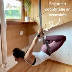 Therapeutische Hangmat YOGA ICON | Aerial Yoga | 280*150cm | Grijs | Inclusief Handige Draagtas En 1 Plafondhaak | Workout | Training En Ontspanning | -Fit Gear Verkoop 1200x1200 1922