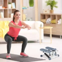 Relaxdays Swing Stepper - 2 Weerstandsbanden - Fitness Stepper - Display - Diverse Kleuren - Grijs -Fit Gear Verkoop 1200x1200 570