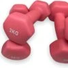 Dumbells - Neopreen Set 1, 2 En 3 Kg - Dumbellset - Halterset - Fitness Gewichten - Paars En Roze -Fit Gear Verkoop 1200x511 1