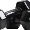Active Panther Dumbbell Set 2 X 4 KG - 8 Kg Totaal - Vinyl - Zwart -Fit Gear Verkoop 1200x684