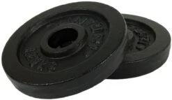 Tunturi Halterschijven - Halter Gewichten - 2 X 1,25 Kg - Ø 30 Mm - Gietijzer - Incl. Gratis Fitness App