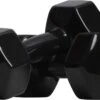Active Panther Dumbbell Set 2 X 10 KG - 20 Kg Totaal - Vinyl - Zwart -Fit Gear Verkoop 1200x700 1