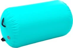 VidaXL Gymnastiekrol Met Pomp Opblaasbaar 100x60 Cm PVC Groen -Fit Gear Verkoop 1200x797