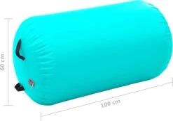 VidaXL Gymnastiekrol Met Pomp Opblaasbaar 100x60 Cm PVC Groen -Fit Gear Verkoop 1200x845