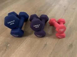 Dumbbell Set Bestaat Uit Een Set Van 1 Kg Een Set Van 2kg En Een Set Van 3kg - Totaal Set Van 6 Dumbbells Met Een Totaal Gewicht Van 12 Kg. -Fit Gear Verkoop 1200x899 1