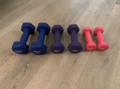 Dumbbell Set Bestaat Uit Een Set Van 1 Kg Een Set Van 2kg En Een Set Van 3kg - Totaal Set Van 6 Dumbbells Met Een Totaal Gewicht Van 12 Kg. -Fit Gear Verkoop 1200x899