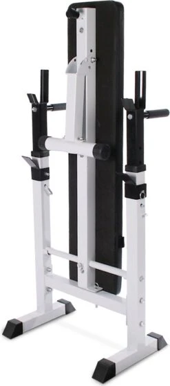 Physionics - Halterbank - Dips Bank - Bankdruk - Buiktrainer - Rugtrainer - Gewicht Heffen - Antislip - Verstelbaar -Fit Gear Verkoop 531x1200 1