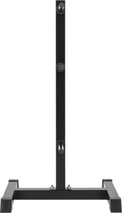 Gorilla Sports Schijvenstandaard Zwart 30/31 Mm - Gewichten Rek - Halterrek -Fit Gear Verkoop 690x1200