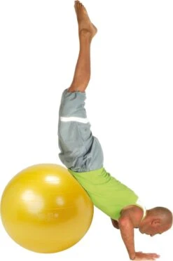 Gymnic Plus 65 BRQ - Zitbal En Fitnessbal - Zwart - Ø 65 Cm -Fit Gear Verkoop 796x1200 6