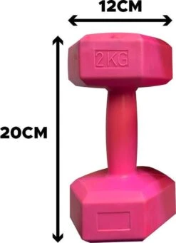 Merkloos Dumbbells - Set Van 2x 2kg - Roze 10 Merkloos Dumbbells - Set Van 2x 2kg - Roze -Fit Gear Verkoop 869x1200 1