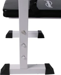 Physionics - Halterbank - Dips Bank - Bankdruk - Buiktrainer - Rugtrainer - Gewicht Heffen - Antislip - Verstelbaar -Fit Gear Verkoop 979x1200 1